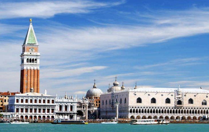 Venecia ve su vida marina recuperarse poco a poco debido a la ausencia de barcos en sus canales por el coronavirus.