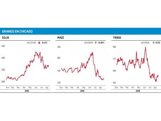 Chicago: bajó la soja pero subieron trigo y maíz