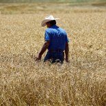 El Gobierno hizo oficial la baja de reteciones al campo. El Gobierno hizo oficial la baja de reteciones al campo.