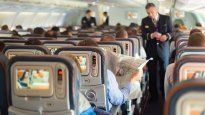 Los pasajeros de un vuelo se pusieron incómodos al ver pornografía en las pantallas