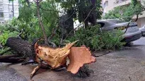 Temporale en el país: miles de personas afectadas por los destrozos.