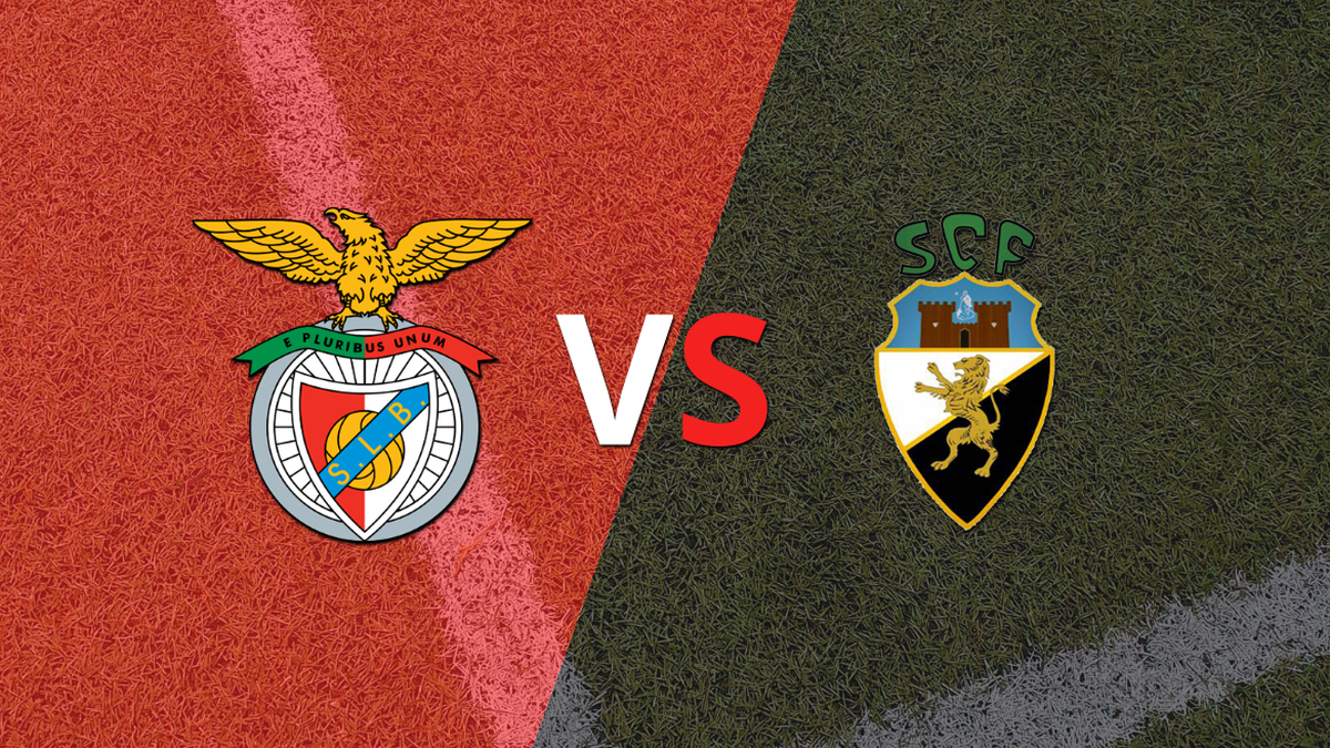 Benfica Quiere El Liderato Del Torneo Frente A Farense