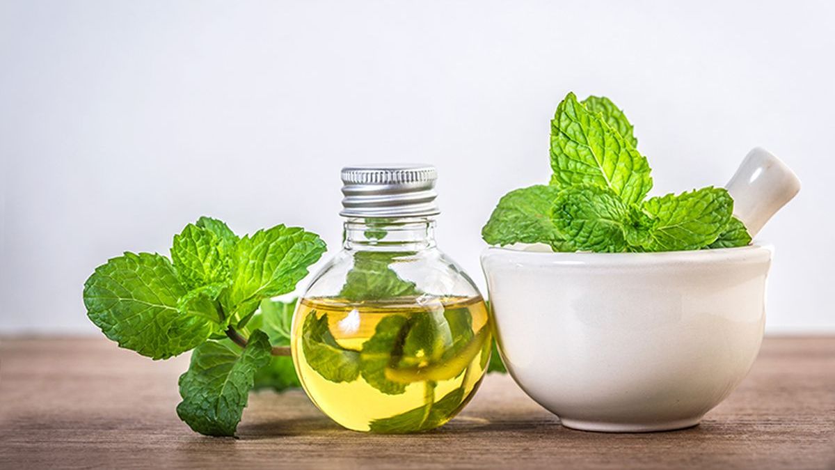 How to prepare 100% effective mint tea against the flu