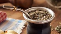 ¿Tomar mate favorece la actividad mental?