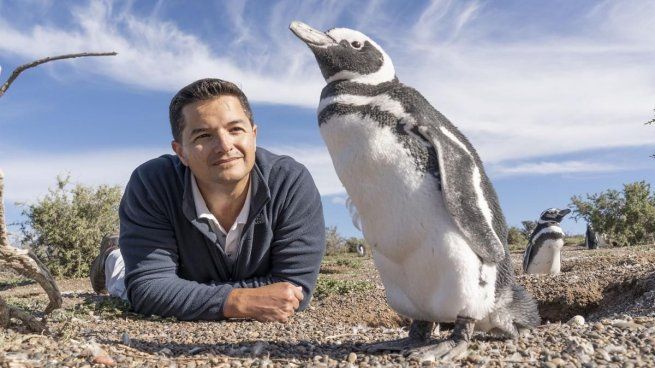 El Messi de los pingünios. El argentino Pablo Popi García Borboroglu﻿ es considerado uno de los científicos y conservacionistas más destacados del mundo.