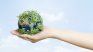 new trends in sustainability and risk management: esg standards for SMEs in Argentina new trends in sustainability and risk management: esg standards for SMEs in Argentina