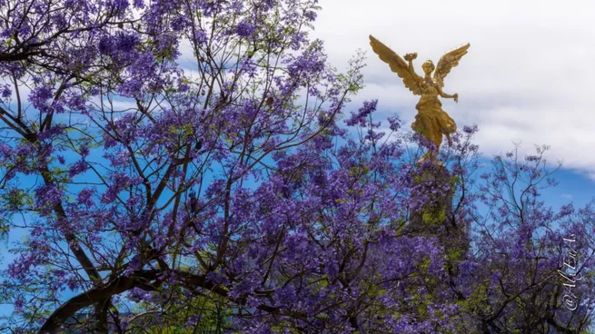 Comienza la primavera y es un gran momento para compartir frases bonitas.