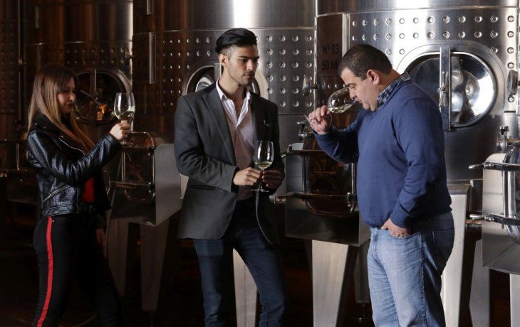Turismo y vinos, un combo con sello argentino
