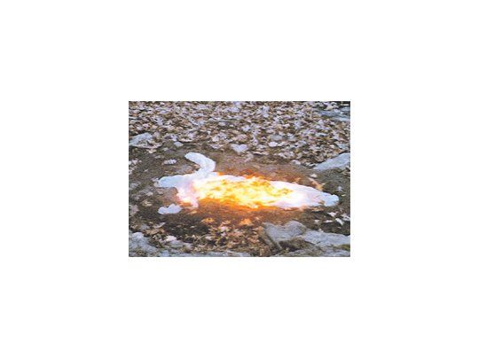 “Alma, silueta de fuego”, de la cubana Ana Mendieta, integra la muestra del Malba “Encuentros/Tensiones”, excelente recorrido por obras que están muy lejos del arte espectáculo y que tienen el poder del significado.
