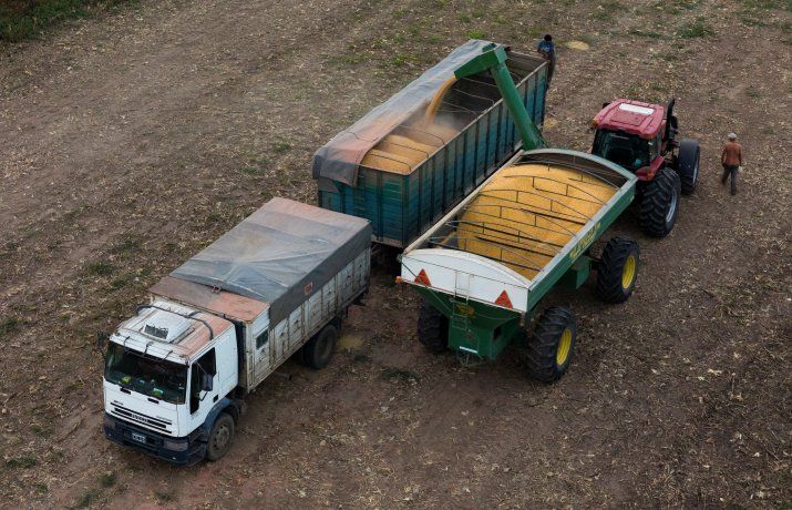 Exportaci&oacute;n de cereales.