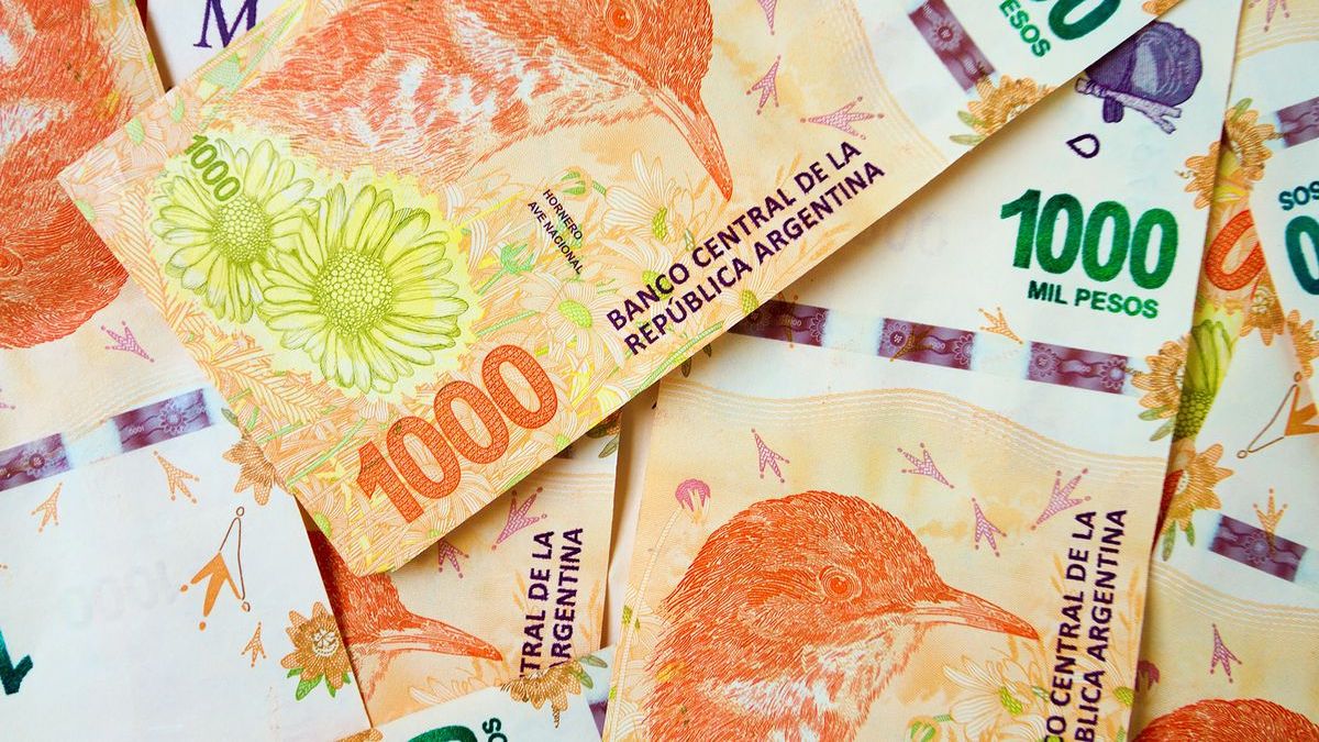After the agreement with the IMF: What should be done with the pesos?