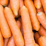 Las zanahorias cuentan con componentes que protegen a los ojos. Las zanahorias cuentan con componentes que protegen a los ojos.