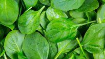 La espinaca es un superalimento que tiene muchos beneficios en el cuerpo.