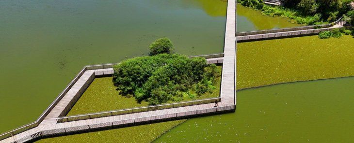 Muchos no conocen esta propuesta natural única, con flora y fauna nativa argentina. Muchos no conocen esta propuesta natural única, con flora y fauna nativa argentina.