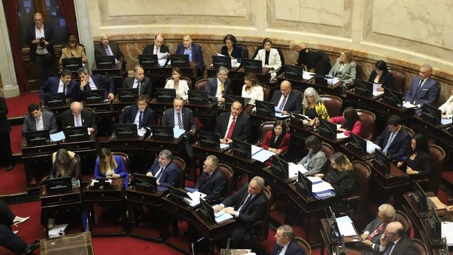 El Senado debate la Ley Bases.