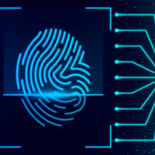 Información importante sobre la CURP Biométrica. Información importante sobre la CURP Biométrica.
