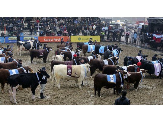 Más de un millón de personas visitaron la Expo Rural 2018