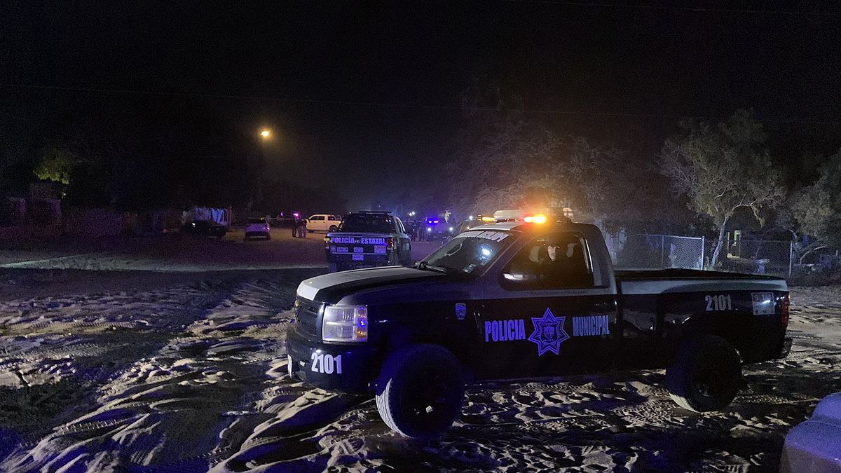 They find six bodies in the area where they were looking for kidnapped young people in Mexico
