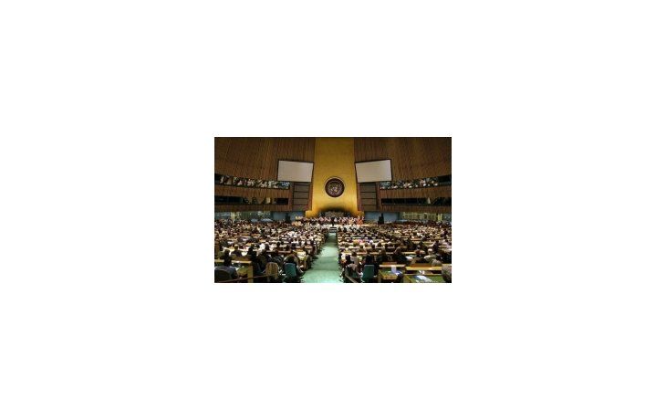 La resolución no hace referencia, sin embargo, a la creación de una fuerza de paz conjunta entre la ONU y la Liga Árabe.