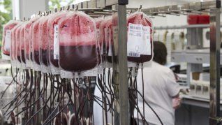 Esta creación será de gran utilidad para las clínicas y hospitales. Esta creación será de gran utilidad para las clínicas y hospitales.