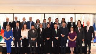 Desde 2018, Delich ha ejercido como secretario general adjunto de la OEI.