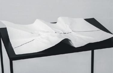 Una de las enigmáticas obras del joven Eduardo Basualdo siempre en busca de descolocar al espectador.