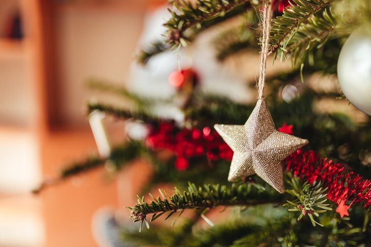 Los clásicos adornos pierden terreno para esta navidad y se opta por opciones más ecológicas. Los clásicos adornos pierden terreno para esta navidad y se opta por opciones más ecológicas.