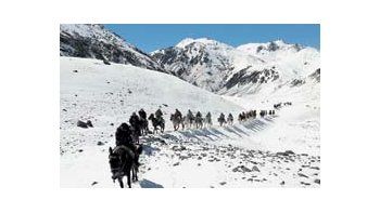 ámbito.com | A lomo de mula, la delegación argentina sigue los pasos de San Martín desde el lunes a través de los Andes.