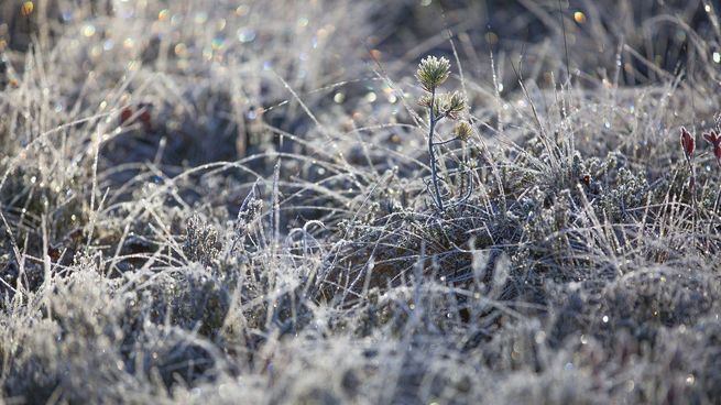 ¿Cómo estará el clima este martes 1 de julio en Uruguay?