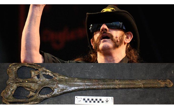 Lemmy Kilmister y el fósil en su honor (Foto cocodrilo, Museo de Londres)