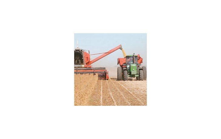 ámbito.com | Durante largo tiempo se temió por un freno en los avances genéticos de la soja por el impedimento de Monsanto de cobrar las regalías sobre la variedad RR. Ahora se sabe que la solución llegará y reinsertará a la Argentina en el mapa mundial en transgénico
