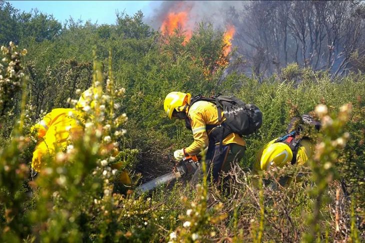 Actualmente, Neuquén reporta incendios forestales en distintas regiones. Actualmente, Neuquén reporta incendios forestales en distintas regiones.
