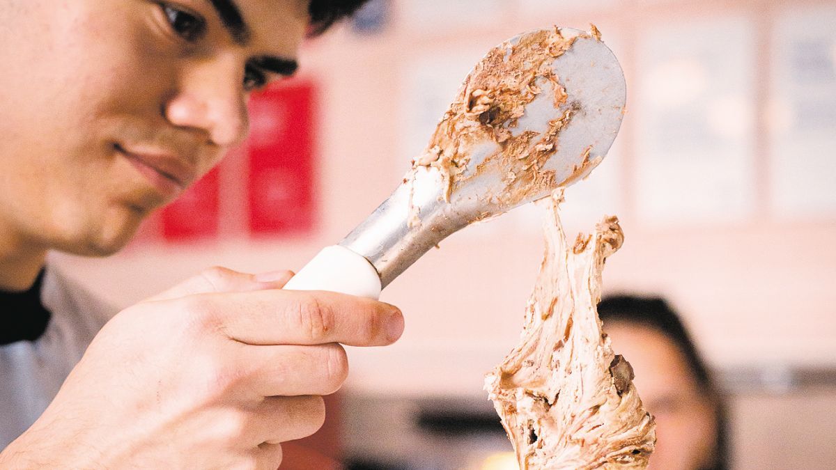 They deliver the “Oscar of Artisanal Ice Cream”: when and where the Gold Cup will take place