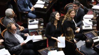 Bloque de Unión por la Patria.