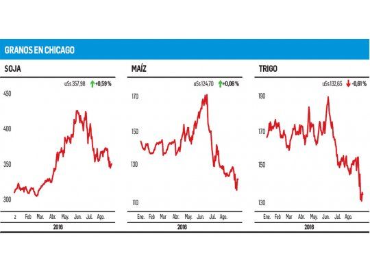 Recuperación para soja y maíz; trigo, en baja
