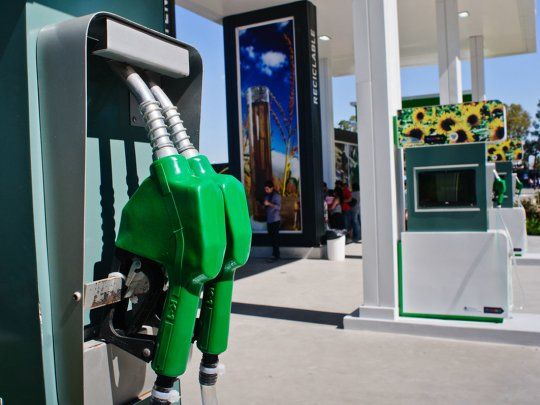 Los biocombustibles reducen las emisiones de dióxido de carbono.