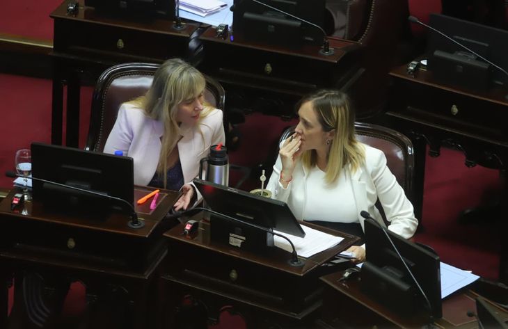 El peronismo se opuso en bloque a la reforma laboral. El peronismo se opuso en bloque a la reforma laboral.