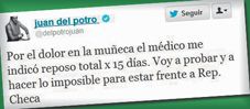Del Potro está en duda ante los checos (foto 1)