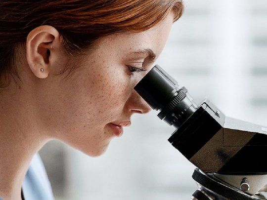 Laboratorio microscopio.jpg