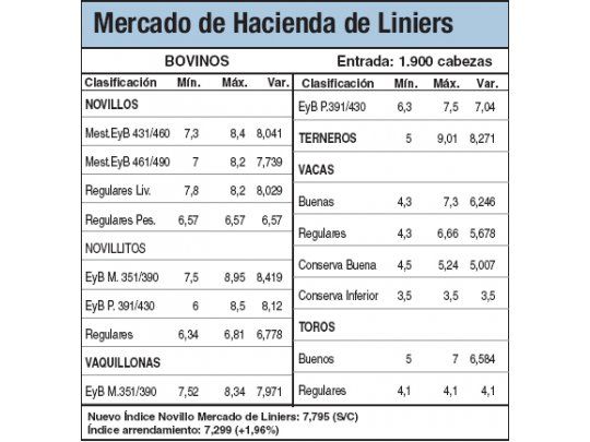 Bajas del 0,5% en los novillos