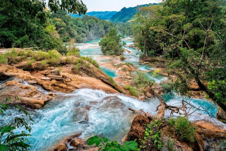 Cascadas de Agua Azul Cascadas de Agua Azul