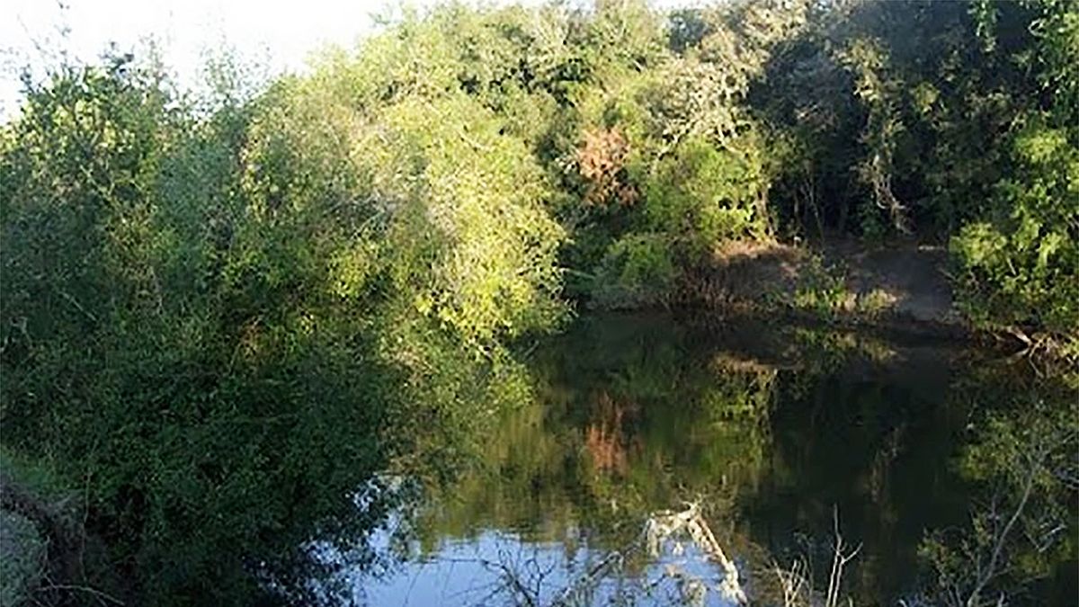 Deputy of the PN presented a project to expropriate the fields bordering the Casupá stream