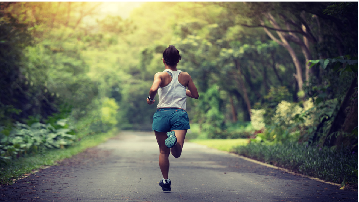 Excuses are over: the five key steps to start training, maintain constancy and not abandon