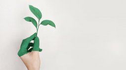 tres pilares de una hoteleria con responsabilidad ambiental y social