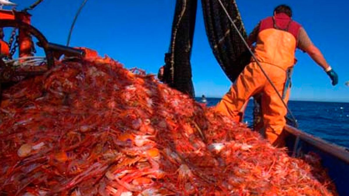 116 thousand tons of fishing and income for US0 million
