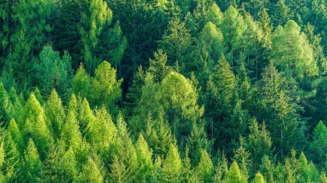 La resolución contempla que los beneficiarios deberán suscribir previamente un convenio con el Ministerio de Ambiente antes de recibir el desembolso de los fondos.
