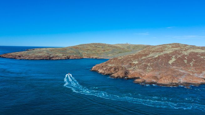 Este rincón de la Patagonia es un paraíso para los observadores de fauna marina.