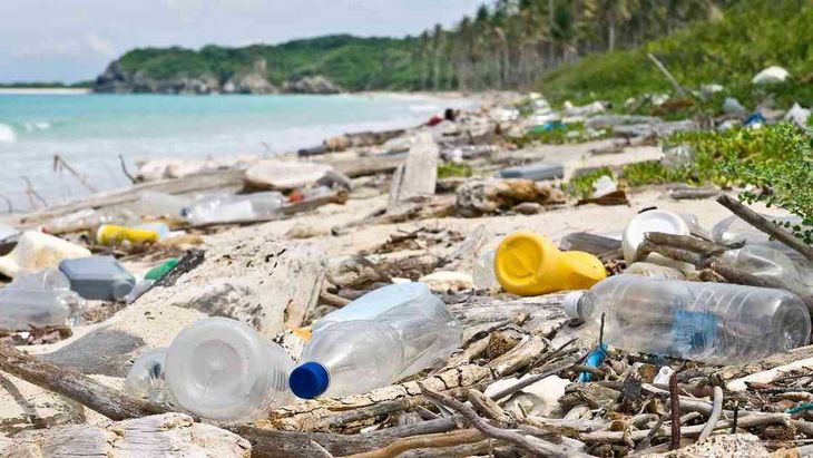 La contaminación por plásticos es un fenómeno creciente, del cual cada vez se toma más conciencia. Plásticos.