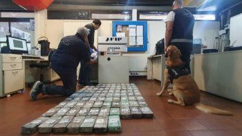 la aduana secuestro 87 kilos de cocaina valuados en mas de u$s1.000.000