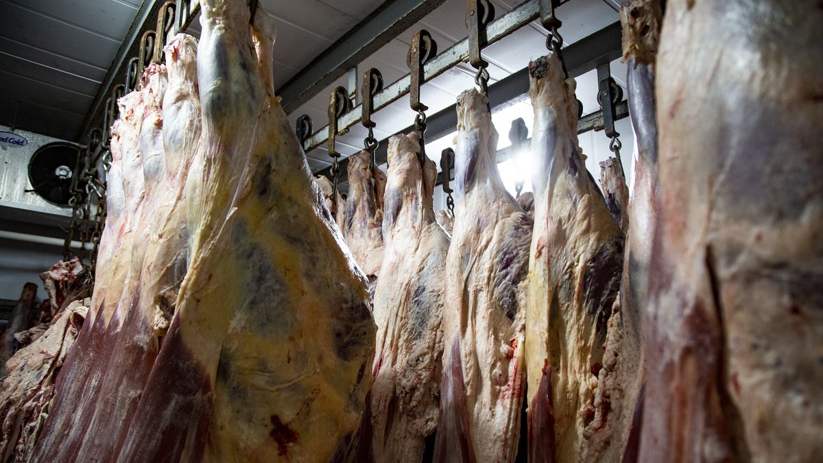 The Government authorized the export of beef to China